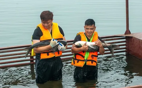 Phát huy dư địa lớn nuôi trồng thủy sản hồ chứa các tỉnh phía Bắc