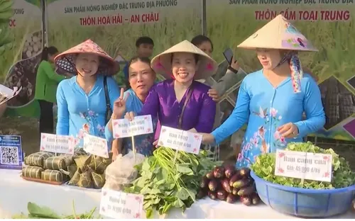 Đặc sắc Lễ hội rau lần thứ IV và Phiên chợ nông sản Hòa Vang 2026