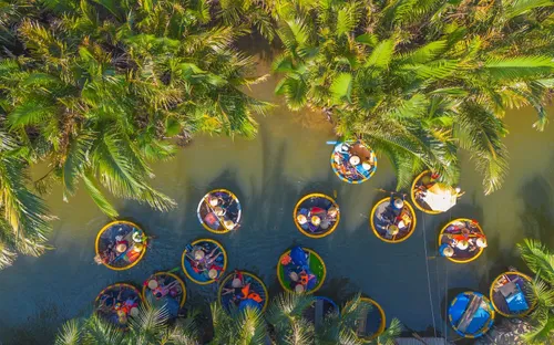 Trải nghiệm du lịch xanh khám phá hệ sinh thái rừng dừa Bảy Mẫu