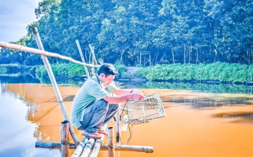 Khám phá “đảo khỉ” giữa rừng bần Cù Lao Dung: Điểm đến sinh thái độc đáo miền Tây