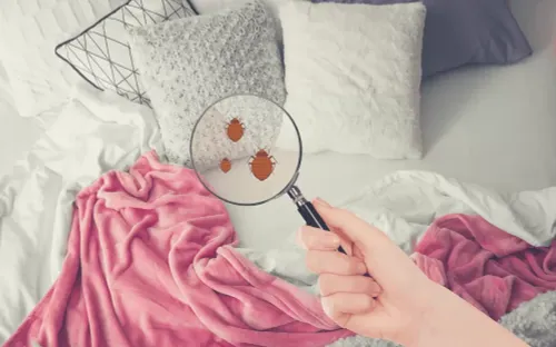 Những thói quen trong nhà âm thầm gây hại hệ hô hấp