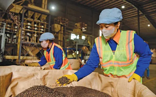 Doanh nghiệp xoay xở trước áp lực chi phí leo thang