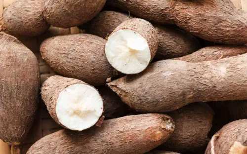 5 thực phẩm tiềm ẩn nguy cơ gây ngộ độc cần tránh