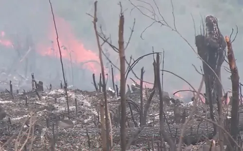 Báo động đỏ cháy rừng tại miền Trung và Tây Nguyên