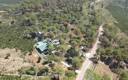 Mất rừng và hệ lụy an ninh trật tự: Không thể né tránh trách nhiệm