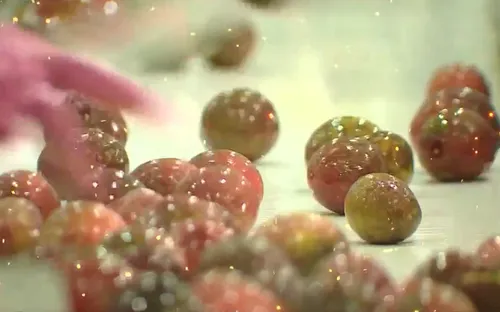 Xuất khẩu nông, lâm, thủy sản tăng trưởng 6%