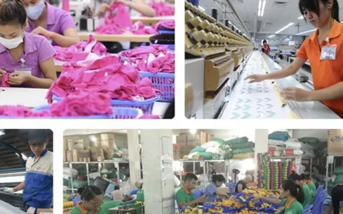 WB đánh giá Việt Nam là điển hình về khả năng biến thách thức thành cơ hội