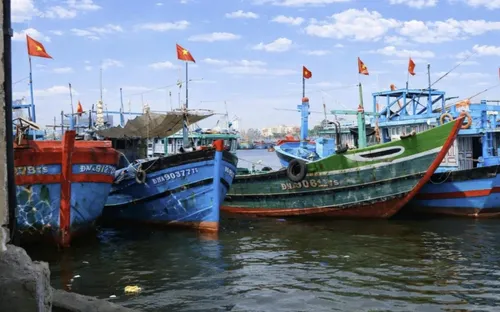 Đà Nẵng tái định hình hạ tầng nghề cá trong không gian phát triển mới