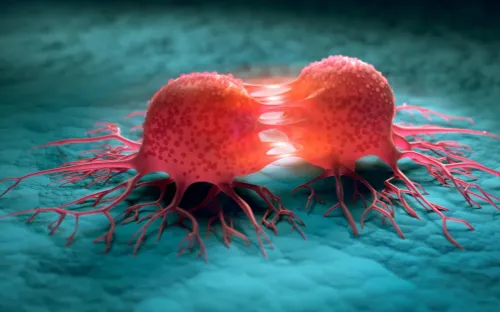 Canada nghiên cứu vi khuẩn “ăn khối u”, mở hướng điều trị ung thư mới