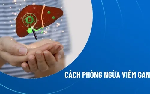 Cách phòng ngừa viêm gan B khi chung sống với người bệnh