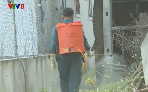 Báo động dịch bệnh dại