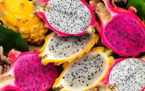 Xuất khẩu thanh long phục hồi, Thái Lan và Trung Đông trở thành động lực tăng trưởng