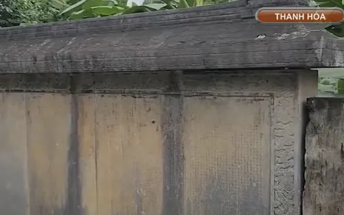 Bia cổ hơn 300 năm ở Thanh Hóa thành tường rào nhà dân