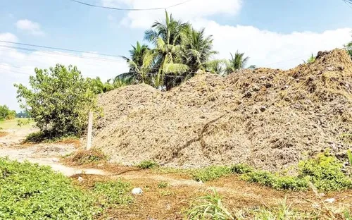 Ngăn chặn tình trạng khai thác trái phép đất mặt ruộng