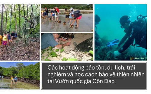 Lời nhắn từ rừng già và bài toán kinh tế trách nhiệm