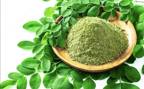 Vì sao chùm ngây được ví như “thịt bò của thực vật”?