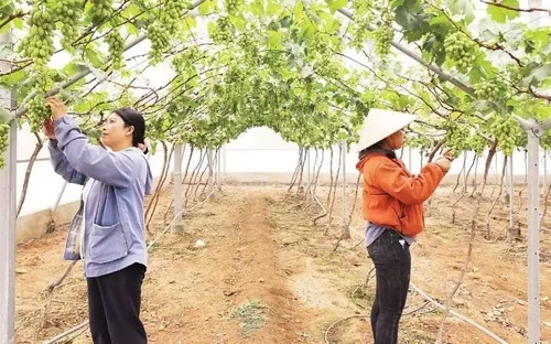 Hành trình của sự chuyển mình