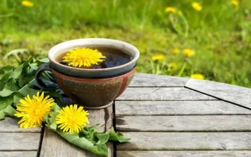 6 loại trà thảo mộc giúp hỗ trợ gan thải độc và cải thiện chức năng chuyển hóa