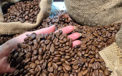 Giá cà phê hôm nay 14-4: Tăng trở lại, Mỹ tăng tốc nhập cà phê Việt