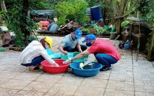 Nguy cơ sốt rét quay trở lại tại Đồng Nai dù số ca giảm sâu