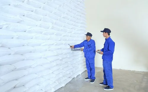 Tổ chức đấu thầu mua 300.000 tấn gạo dự trữ quốc gia năm 2026