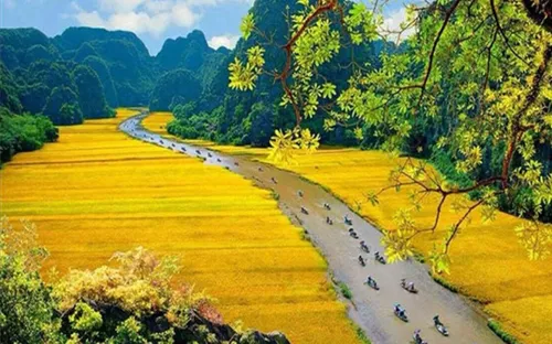 Gìn giữ cảnh quan nông nghiệp gắn liền với di sản thế giới
