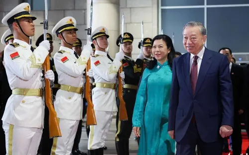 Tổng Bí thư, Chủ tịch nước Tô Lâm lên đường thăm Nam Ninh, thúc đẩy hợp tác đường sắt