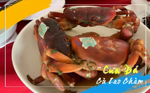 Nâng cao giá trị nông sản cua đá Cù Lao Chàm