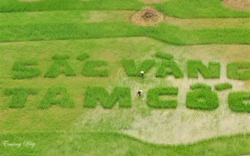 Đánh thức dòng sông di sản: Khi Tam Cốc tái hiện khát vọng "Lý triều khởi sắc"