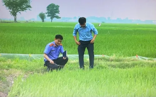 Khởi tố bị can vụ dùng điện bẫy chuột làm chết người tại Hải Phòng