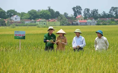 Nông nghiệp Việt trong kỷ nguyên xanh: Tạo sức bật từ chính sách công