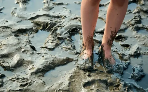 Thái Lan cảnh báo khẩn về bệnh "sốt đất" gia tăng ca mắc và tử vong