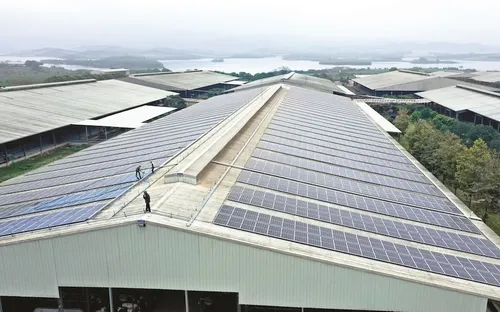 Tiết kiệm điện: từ ‘chi phí bắt buộc’ đến lợi thế cạnh tranh