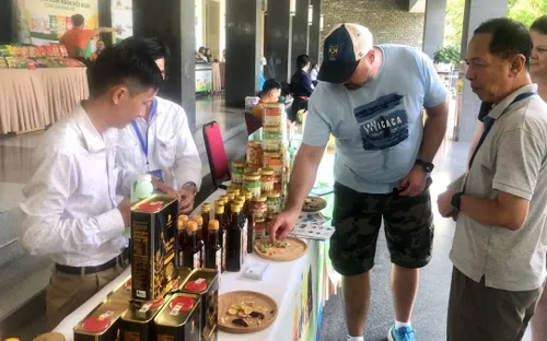 Doanh nghiệp nhỏ dẫn đầu tăng trưởng khu vực nhờ công nghệ