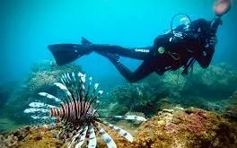 Đà Nẵng rộn ràng chuỗi lễ hội, sự kiện lớn dịp 30/4 - 1/5