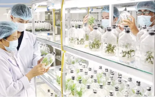 Định hình tương lai nhân lực công nghệ sinh học