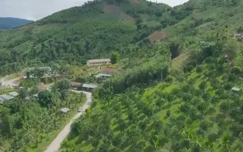 Thiếu liên kết – Nông sản Quảng Ngãi loay hoay đầu ra