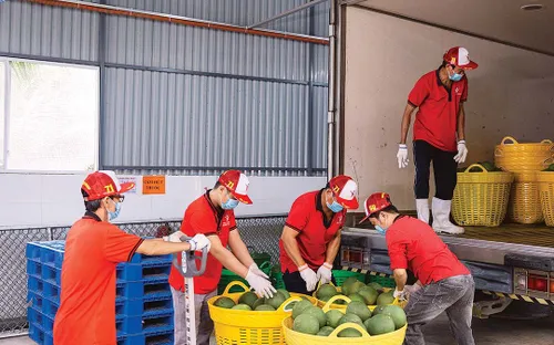 Chi phí leo thang, đầu ra chững lại: Nông nghiệp xoay xở trong thế khó