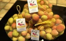 Việt Nam – Hàn Quốc hướng tới mục tiêu thương mại 150 tỷ USD vào năm 2030