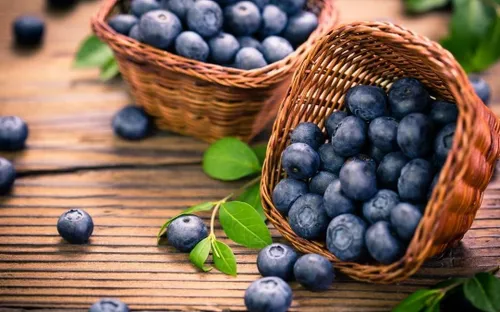 Việt quất: quả nhỏ giàu dinh dưỡng, tốt cho tim mạch và trí não