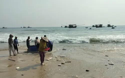 Ngư dân Đà Nẵng vào mùa cá cơm: Niềm vui xen nỗi lo chi phí tăng cao