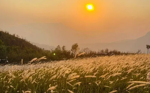 Đồi cỏ tranh Tìa Ló B: Vẻ đẹp nguyên sơ đang “thức giấc” giữa núi rừng Điện Biên