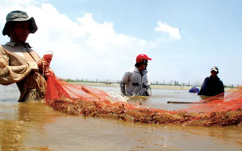 Triển vọng nào cho xuất khẩu dệt may và thủy sản?