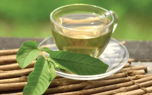 Những nhóm người nên cân nhắc uống nước lá ổi thường xuyên