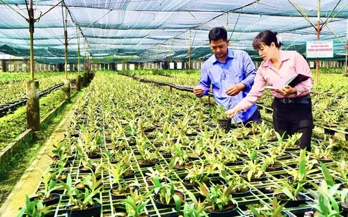 Ứng dụng số - xu hướng tất yếu phát triển nông nghiệp đô thị
