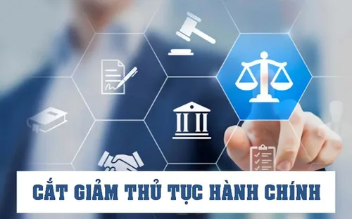 Chính phủ bãi bỏ 184 thủ tục hành chính, cắt giảm 890 điều kiện kinh doanh