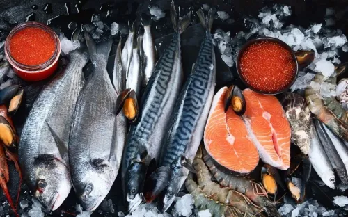 Mỗi tuần nên ăn cá bao nhiêu lần để bổ sung đủ omega-3 mà vẫn an toàn?