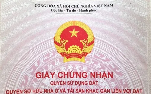 Cắt 184 thủ tục, bãi bỏ 890 điều kiện kinh doanh, giảm một nửa chi phí tuân thủ