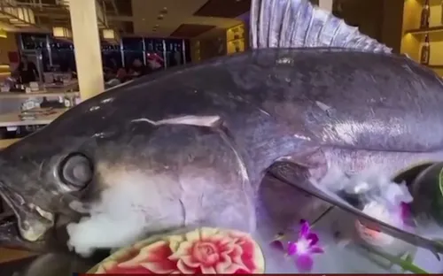 Đắk Lắk: Xây dựng thương hiệu cá ngừ từ ẩm thực