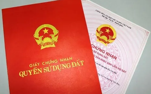Nhận làm thủ tục tách thửa đất, thanh niên ở Lâm Đồng mang sổ đỏ đi cầm cố